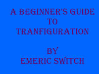 A Beginner&#039;s Guide to Transfiguration