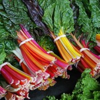 Rainbow Swiss Chard<br /><br />
Scientific Name: Beta vulgaris &#039;Rainbow&#039;