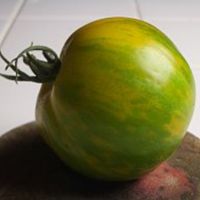 Green Zebra Tomato<br /><br />
Scientific Name: Solanum lycopersicum &#039;Green Zebra&#039;