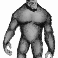 bigfoot2.jpeg