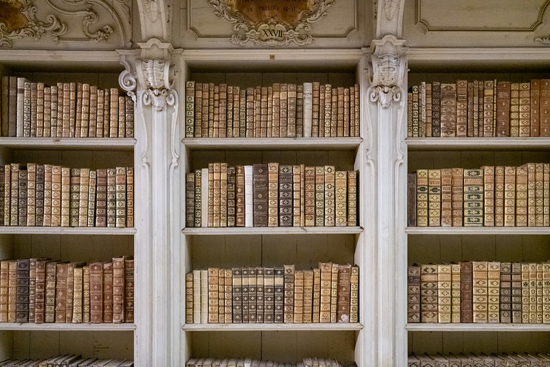 Mafra Palace Library Interior 2