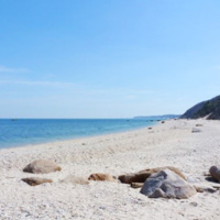 Bluffs along North Shore, Long Island