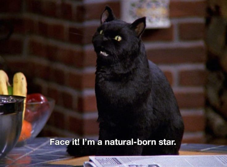 Salem_Saberhagen_001_w.jpg