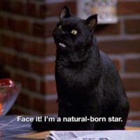 Salem_Saberhagen_001_w.jpg