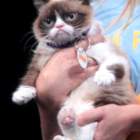 Grumpy_Cat_001_w.jpg