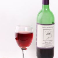 Wild Berry Wine Alaska.jpg