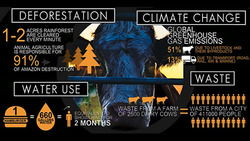 Screen Image for Cowspiracy: The Sustainability Secret