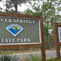 2LMNsilver_springs_state_park001.jpg