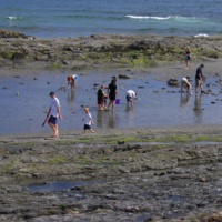 Wonderland Hike Tidepool