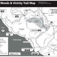 Muir Woods Trail