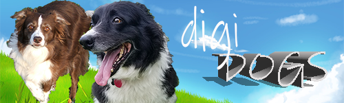 Group 11: DigiDogs