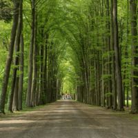 Royal Palace Het Loo