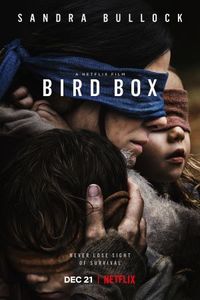 birdboxmoviebp03_derivative.jpg