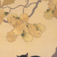 Kuroki Neko (Black Cat)