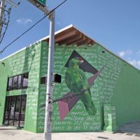 A Love Letter to Wynwood