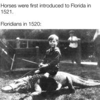 Floridians riding alligators before horses were introduced.