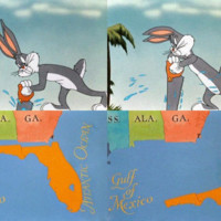 MASTER_looneytunes_florida_meme.jpg