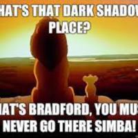 WORKING_LionKing_Bradford.jpg