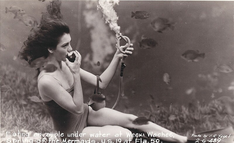 mermaid22.jpg