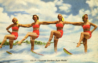 vf_sm004m_cg.jpg vf_sm004m_cg.jpg