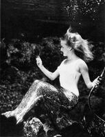 Mermaid viewing herself in a mirror at Weeki Wachee Springs