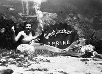 Promotional photograph of Nancy Tribble taken at Weeki Wachee Springs