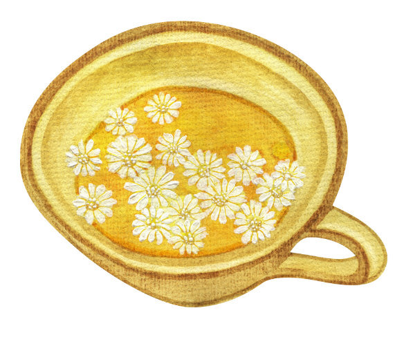 Watercolor illustration in pale yellow, tans, and white of a tea cup full of tea with camomile flowers floating on the surface. The flowers are multi-petaled white with a yellow center.