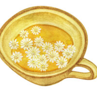 Watercolor illustration in pale yellow, tans, and white of a tea cup full of tea with camomile flowers floating on the surface. The flowers are multi-petaled white with a yellow center.