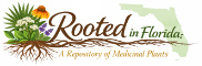 Rooted in Florida
